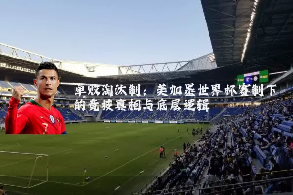 单败淘汰制：美加墨世界杯赛制下的竞技真相与底层逻辑